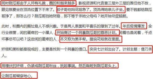 娱乐圈吃瓜营销号是什么,幕后操作与热点追踪